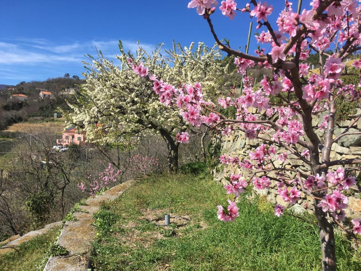 Agriturismo Lavalleggia Tovo San Giacomo Εξωτερικό φωτογραφία